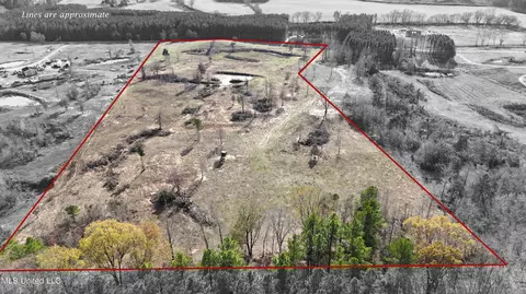 0 Steward Rd, Senatobia, MS 38668 photo 2