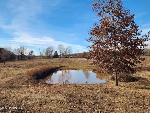 0 Steward Rd, Senatobia, MS 38668 photo 11