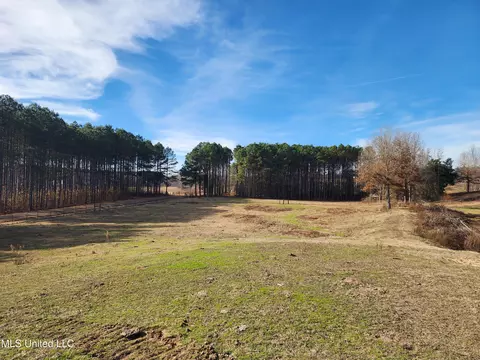 0 Steward Rd, Senatobia, MS 38668 photo 3