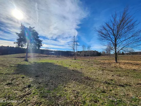 0 Steward Rd, Senatobia, MS 38668 photo 7