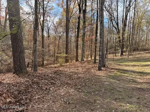 Exterior - 717 Thomas Ln, Madison, MS 39110 photo 6 of 7