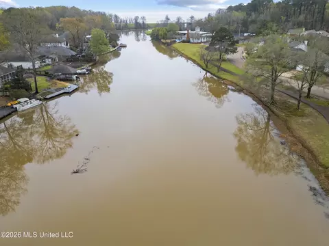 View/Area - 217 Bayview Dr, Madison, MS 39110 photo 1 of 4