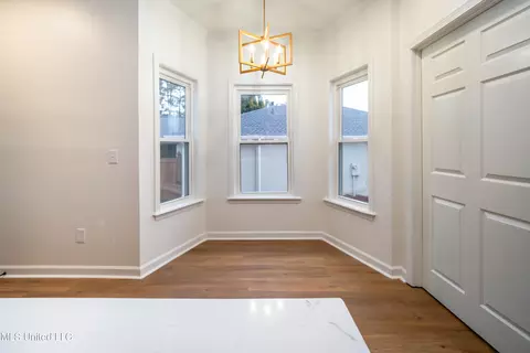 Other - 217 Bayview Dr, Madison, MS 39110 photo 1 of 7