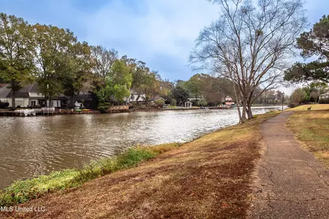 View/Area - 217 Bayview Dr, Madison, MS 39110 photo 3 of 4