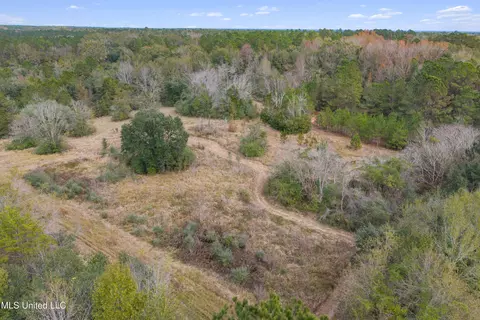Byrnes Drive, Saucier, MS 39574 photo 3