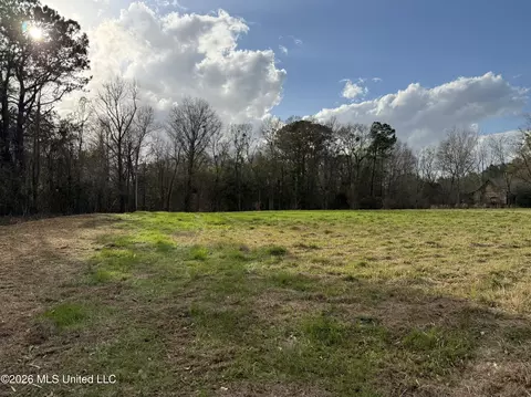 Byrnes Drive, Saucier, MS 39574 photo 7