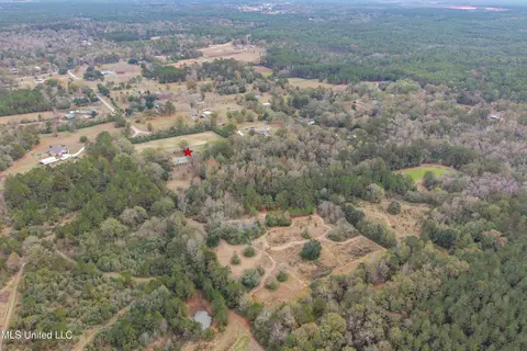 Byrnes Drive, Saucier, MS 39574 photo 6