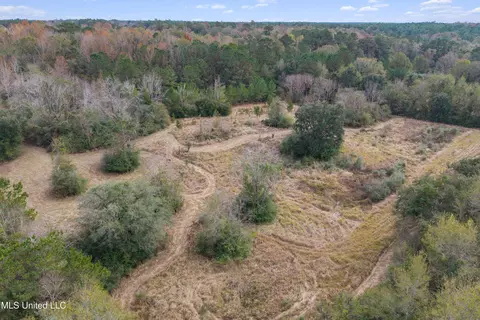 Byrnes Drive, Saucier, MS 39574 photo 2