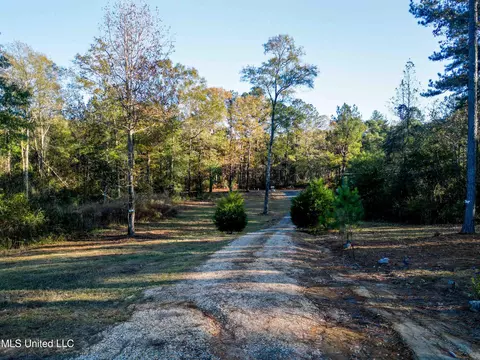 54 New Saint Paul Church Dr, Waynesboro, MS 39367
