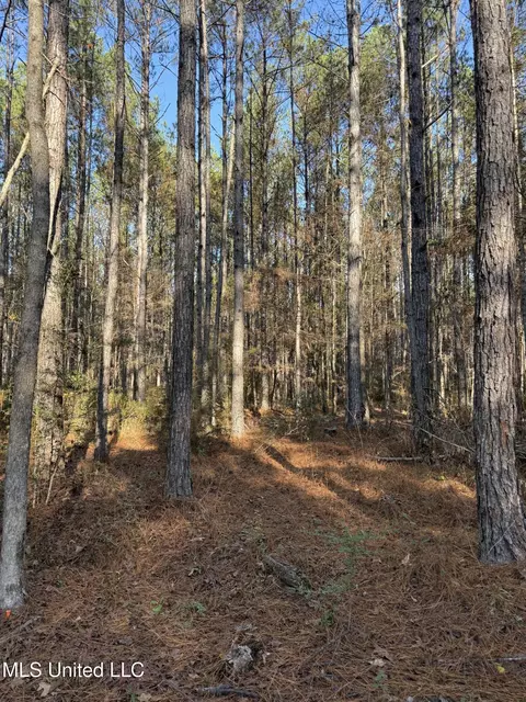 Corbit Boulevard, Mclain, MS 39456