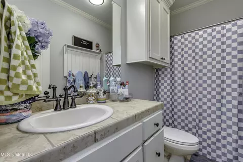 717 Chambord Dr, Brandon, MS 39042 photo 36