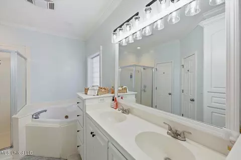 Bath - 513 Windsor Dr, Brandon, MS 39047 photo 1 of 6