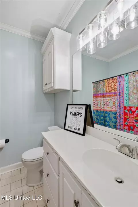 Bath - 513 Windsor Dr, Brandon, MS 39047 photo 4 of 6