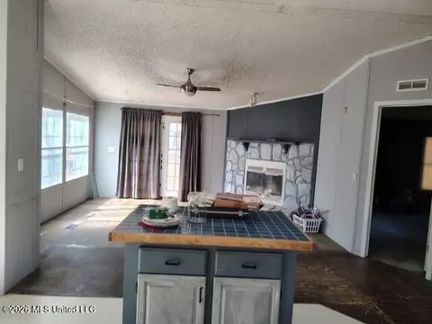 951 Walker Rd, Coldwater, MS 38618 photo 4