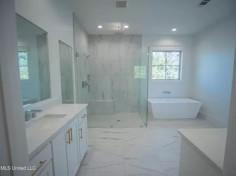 Bath - 103 Silverleaf Dr, Madison, MS 39110 photo 4 of 12