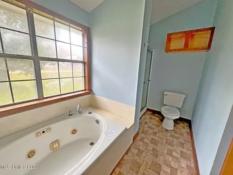 Bath - 217 Harbor Ln, Brandon, MS 39047 photo 3 of 5