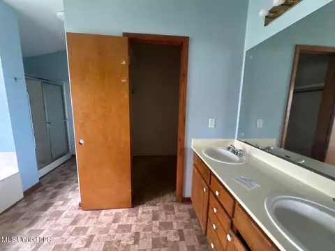 Bath - 217 Harbor Ln, Brandon, MS 39047 photo 2 of 5