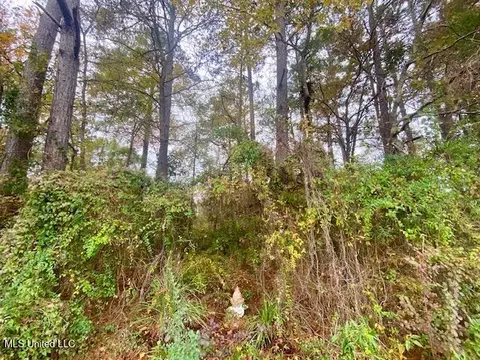 0 Llewellyn Ave, Mccomb, MS 39648 photo 6