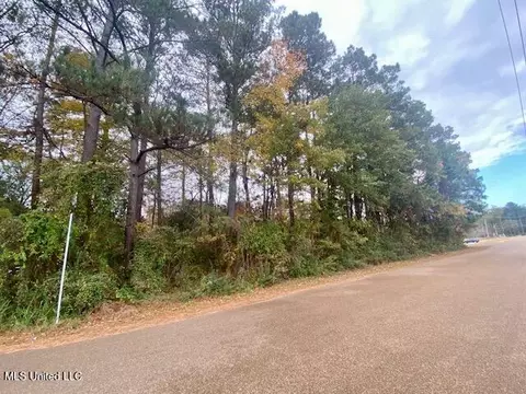 0 Llewellyn Ave, Mccomb, MS 39648 photo 2