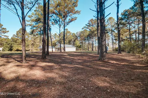 Exterior - 196 Easley Rd #D, Lucedale, MS 39452 photo 4 of 7