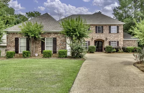 Exterior - 401 Kingsbridge Rd, Madison, MS 39110 photo 19 of 19
