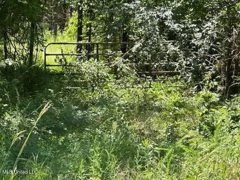 00 Old Pearl Rd, Florence, MS 39073 photo 5