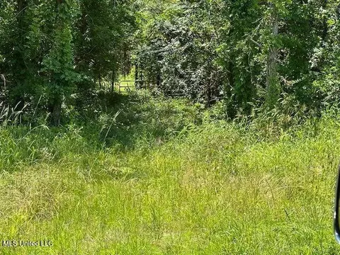 00 Old Pearl Rd, Florence, MS 39073 photo 6