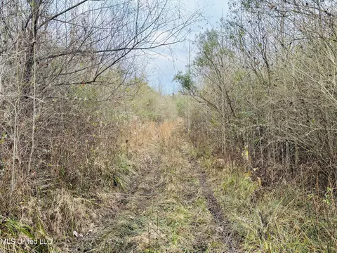 Roger Reid Road, Conehatta, MS 39057 photo 4