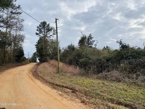 Roger Reid Road, Conehatta, MS 39057 photo 10