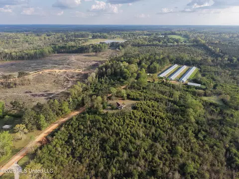 Roger Reid Road, Conehatta, MS 39057 photo 13