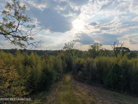 Roger Reid Road, Conehatta, MS 39057
