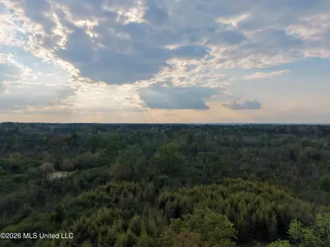 Roger Reid Road, Conehatta, MS 39057 photo 14