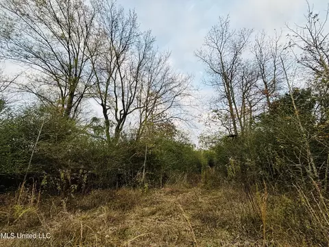 Roger Reid Road, Conehatta, MS 39057 photo 9
