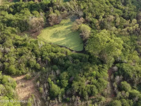 Roger Reid Road, Conehatta, MS 39057 photo 15