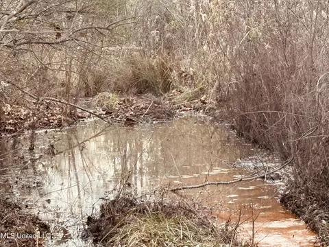 Roger Reid Road, Conehatta, MS 39057 photo 5