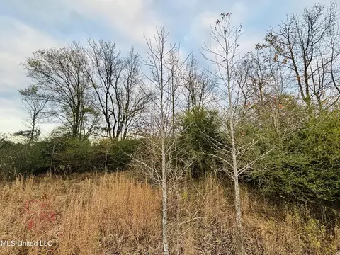 Roger Reid Road, Conehatta, MS 39057 photo 6