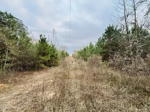 Roger Reid Road, Conehatta, MS 39057 photo 7