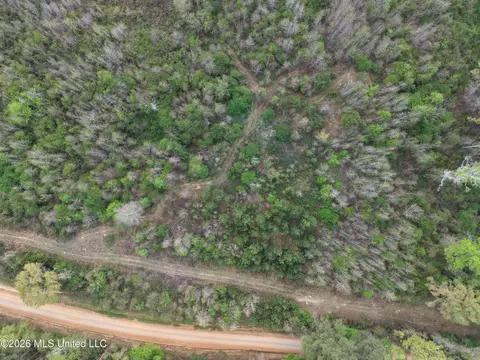 Roger Reid Road, Conehatta, MS 39057 photo 12