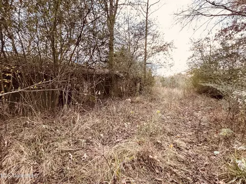 Roger Reid Road, Conehatta, MS 39057 photo 3