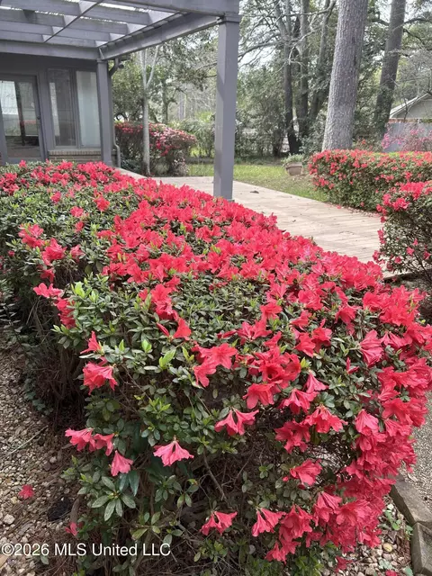 Exterior - 400 Charles St, Brookhaven, MS 39601 photo 13 of 14