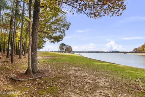 View/Area - 101 Lake Shore Cv, Madison, MS 39110 photo 1 of 11