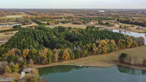 View/Area - 101 Lake Shore Cv, Madison, MS 39110 photo 8 of 11