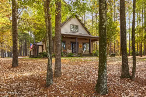 Exterior - 101 Lake Shore Cv, Madison, MS 39110 photo 12 of 18