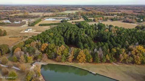 View/Area - 101 Lake Shore Cv, Madison, MS 39110 photo 6 of 11