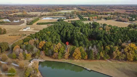 View/Area - 101 Lake Shore Cv, Madison, MS 39110 photo 7 of 11