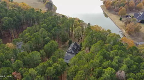 Other - 101 Lake Shore Cv, Madison, MS 39110 photo 17 of 21