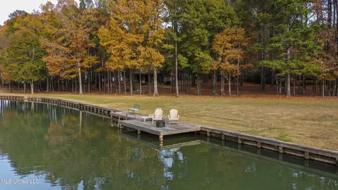 View/Area - 101 Lake Shore Cv, Madison, MS 39110 photo 10 of 11