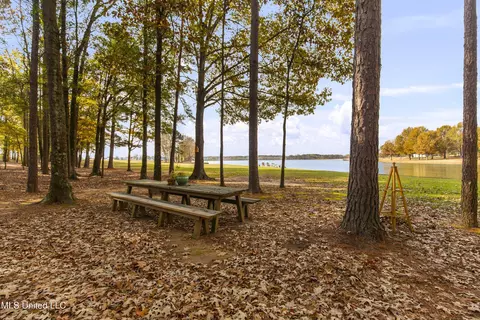 Other - 101 Lake Shore Cv, Madison, MS 39110 photo 4 of 21