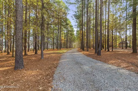 Other - 101 Lake Shore Cv, Madison, MS 39110 photo 2 of 21