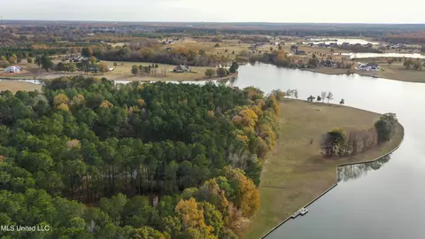 View/Area - 101 Lake Shore Cv, Madison, MS 39110 photo 5 of 11